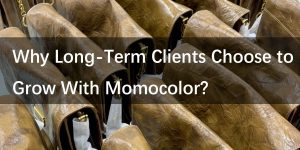 Backpack Manufacturer 17 Why Long Term Clients Choose to Grow With Momocolor