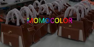 Backpack Manufacturer 15 MOMOCOLOR HANDBAG FACTORY