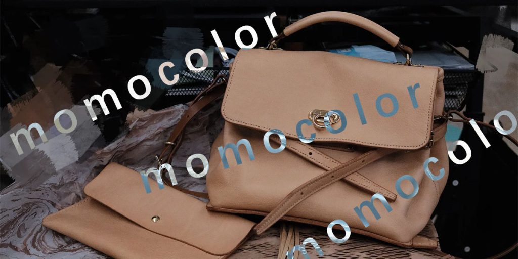 The Real Cost of a Handbag: A Factory’s Perspective (For Brands & Buyers 2 Momocolor Poster
