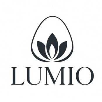 china handbag brand logo